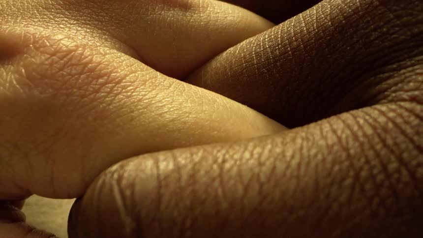 The fingers of two people with different skin tones one brown and one caucasian are interlocked together