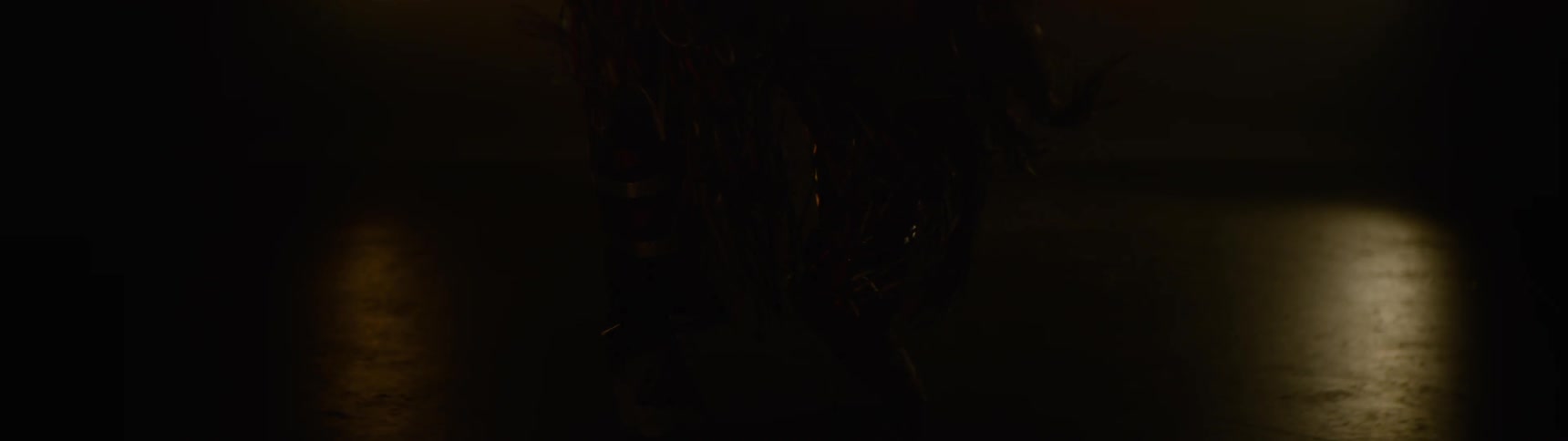 Silhouette of a person on a stage with low lighting