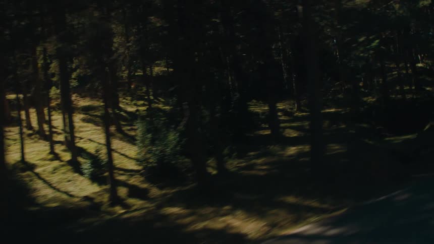 A car drives down a winding forest road