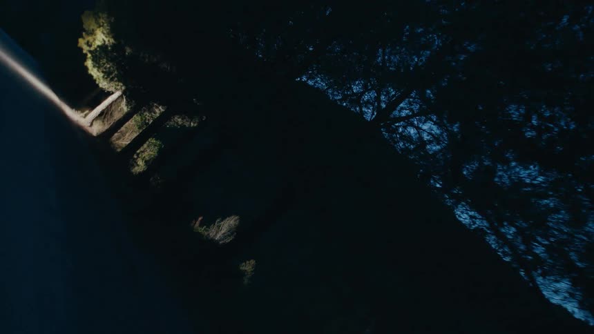 Driving through the woods at night as automotive lights reveal the tree line along the side of the road