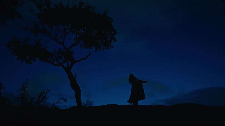 A silhouetted figure in a trench coat stands near a tree under a deep blue night sky