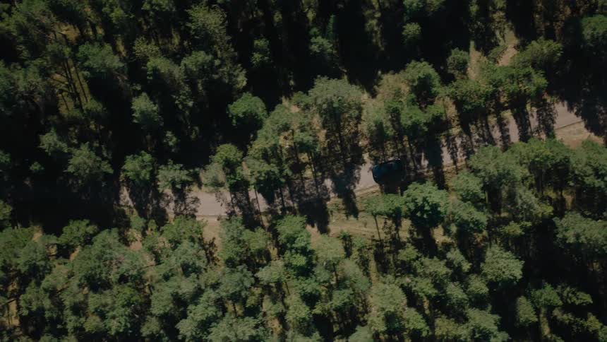 Aerial of a car driving on a road in the middle of a woodland area during daytime