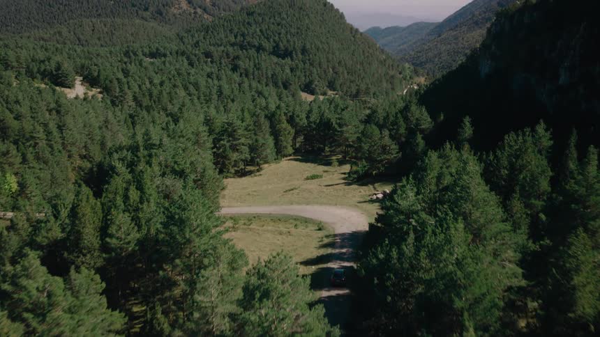 A car drives through a forested dirt road as the view lifts above the tree canopy revealing dense woods and distant mountains in the background