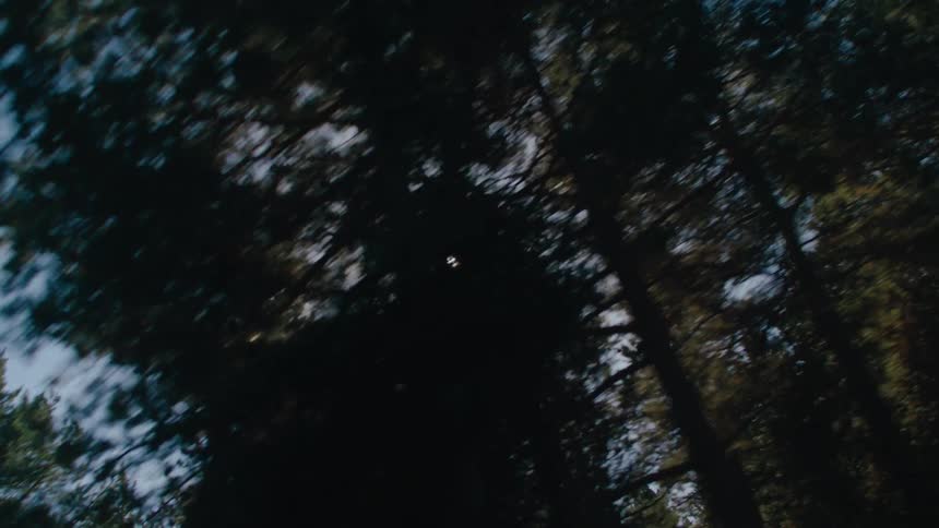 A drive through a treefilled jungle with the sun in sight brightening the day