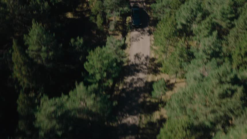 Aerial of a car driven on a road in the middle of a woodland area in daytime