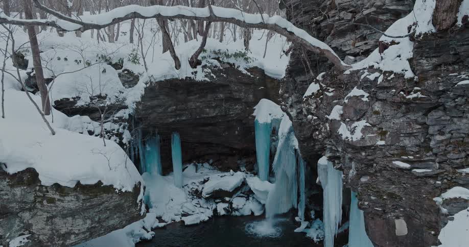 A small stream in a frozen forest