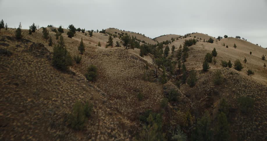 A wide aerial shot of dry treedotted hills under an overcast sky