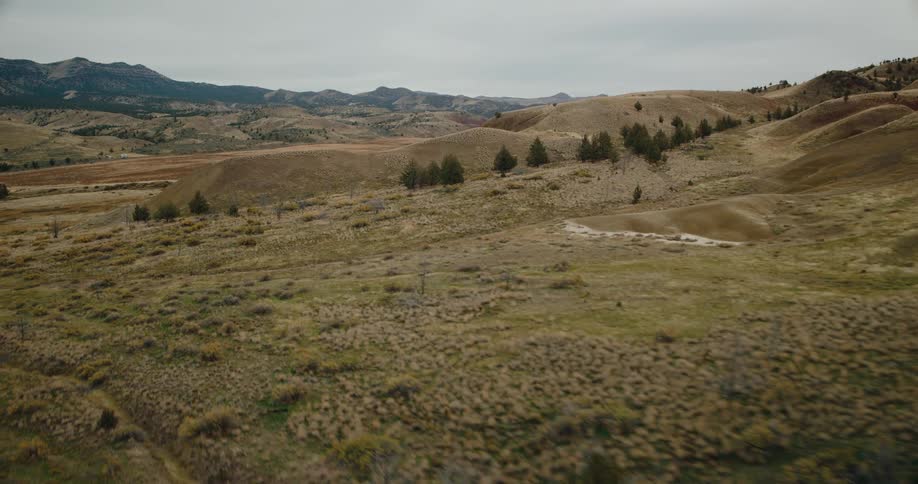 Rolling hills with patchy vegetation and scattered trees stretch under a cloudy sky