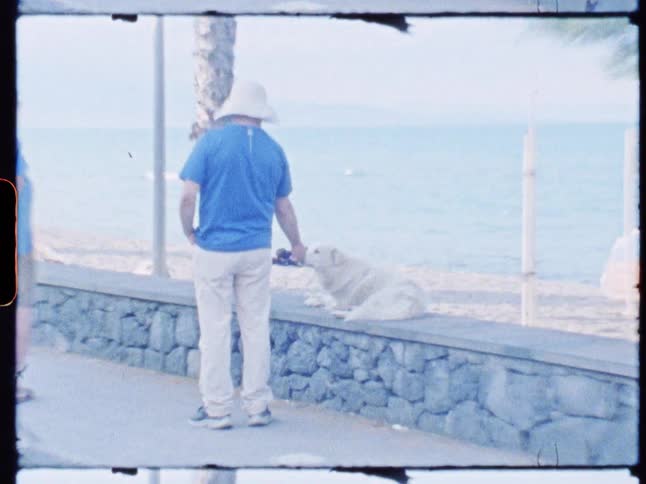 A man is petting a dog on the beach