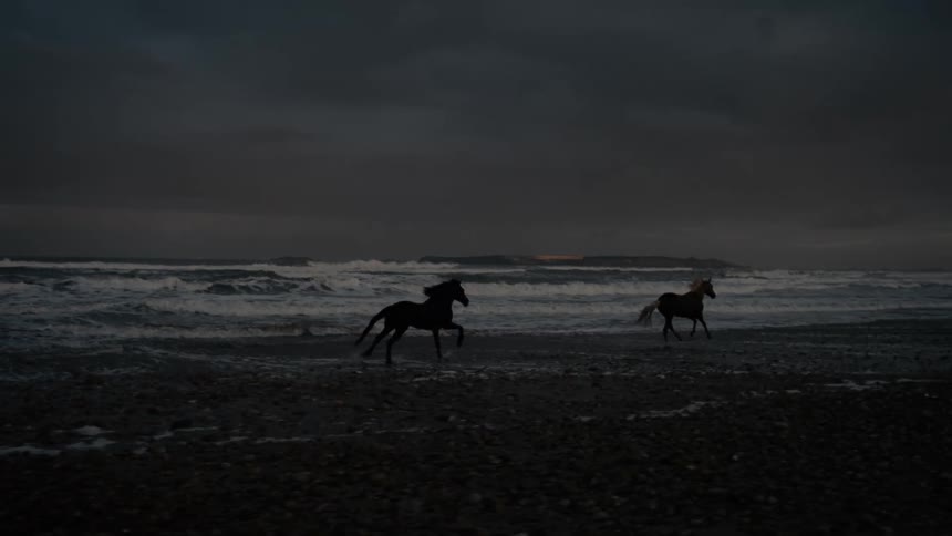Horses run on the beach on a cloudy day