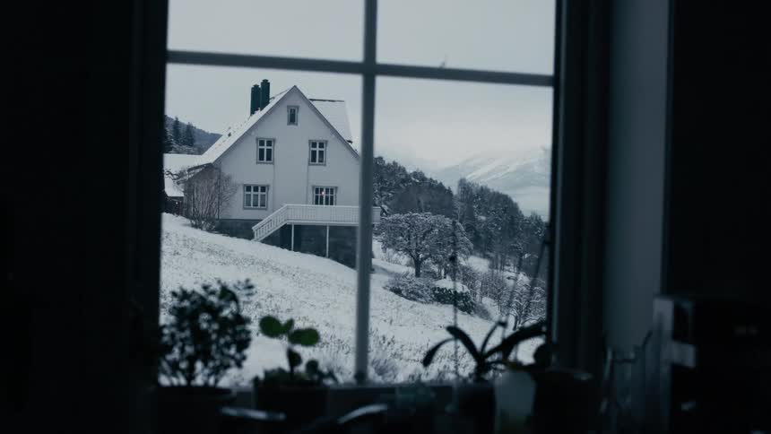 Looking at a house through a window