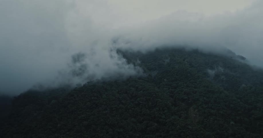 Fog covers the top of a densely forested mountain