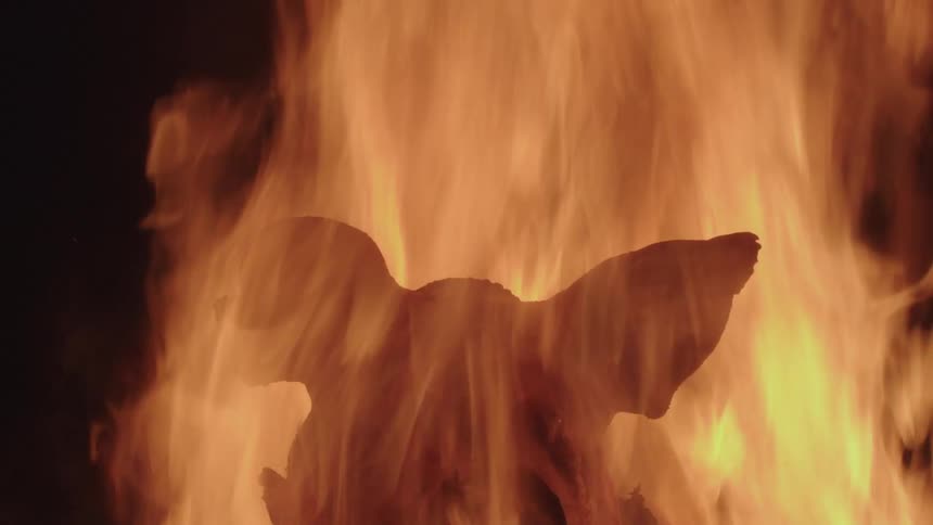 A large flame covers the pig head