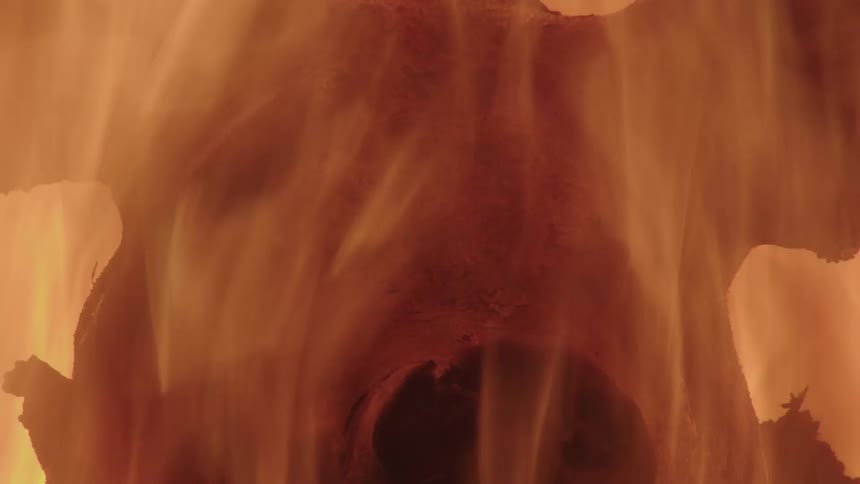 Head of a pig roasted over fire and coals