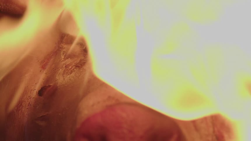 A pork roasting over a flame