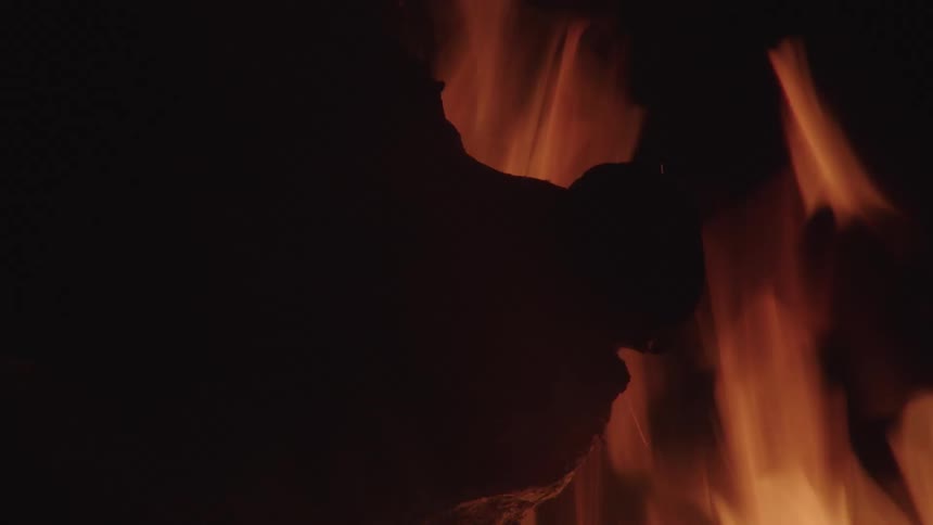 Silhouette of a pigs head being roasted on a fire