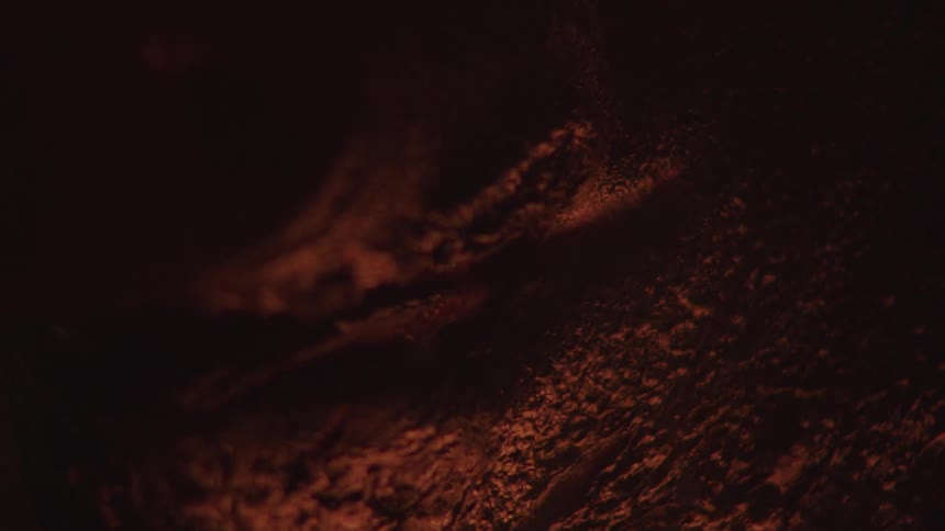 Fire burns and crisps something