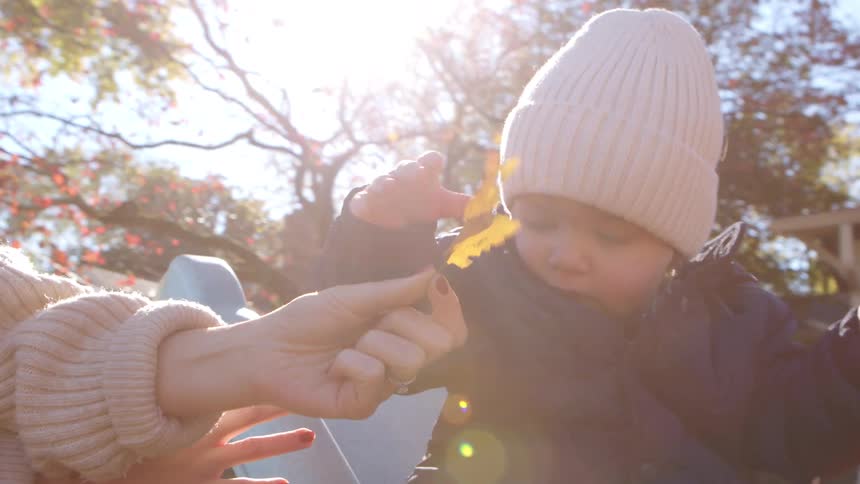 Little girl in a cap playing with dry leaves