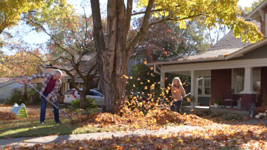 A father and daughter play together as they rake a large pile of autumn leaves in front of a house on a sunny day