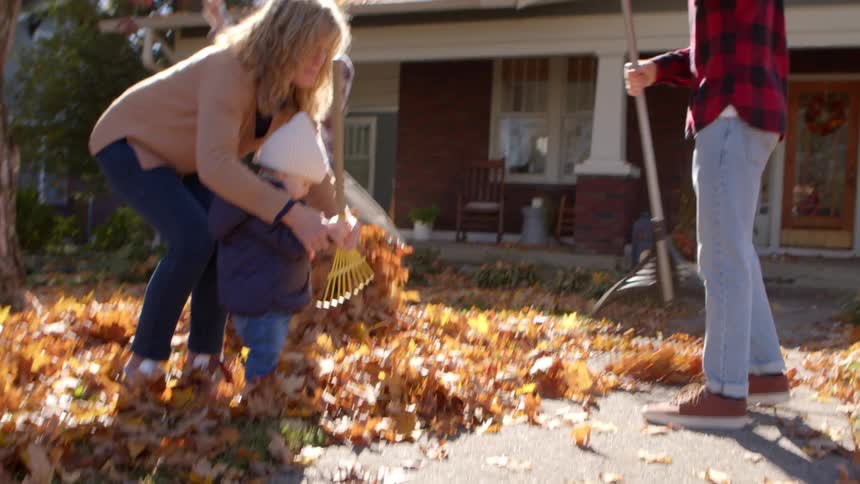 Family cleaning a yard with dry leaves