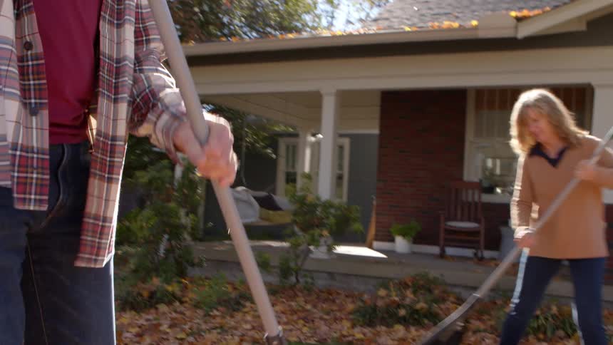 Two people cleaning a yard with dry leaves