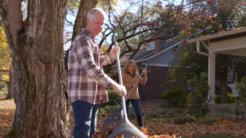 An elderly couple is joyfully raking autumn leaves in the front yard of a suburban home