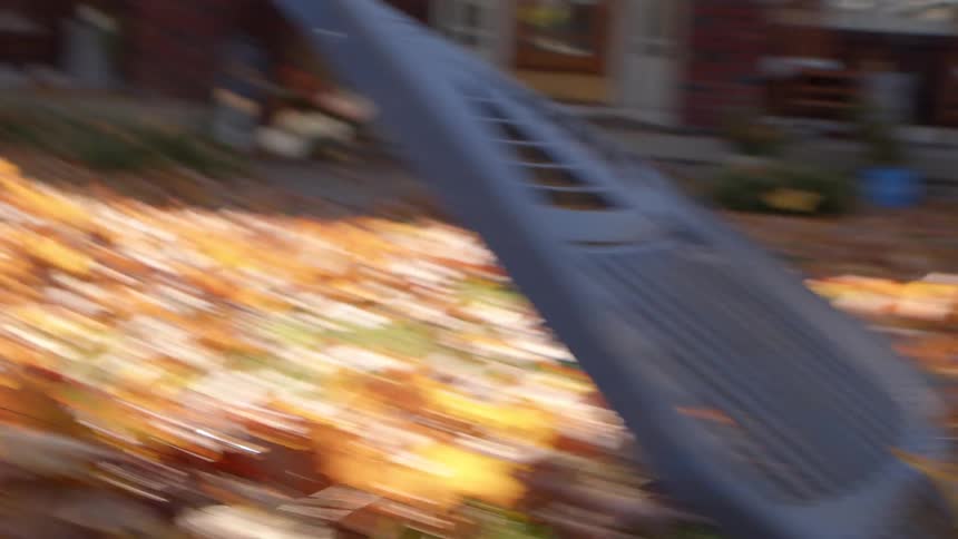 Close up of a rake being used by a person to gather fallen leaves on a lawn during daytime