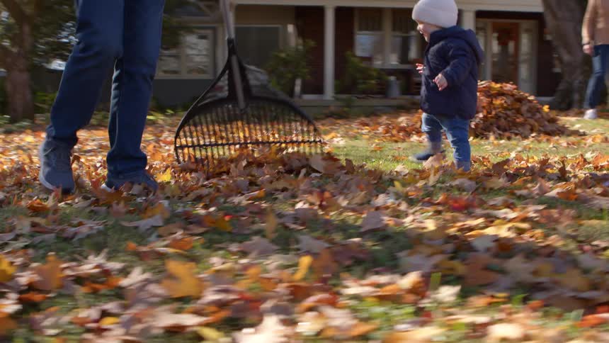 A family of four rake leaves and run around playing outside of their house in the fall