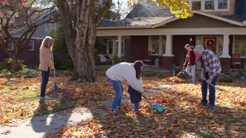 A happy multigenerational family cleans leaves and plays together in a suburban yard