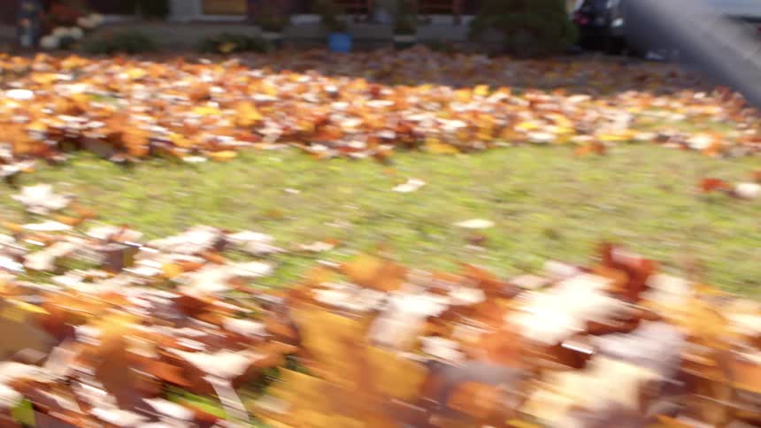 A person is raking leaves in their yard that is covered with them in the fall