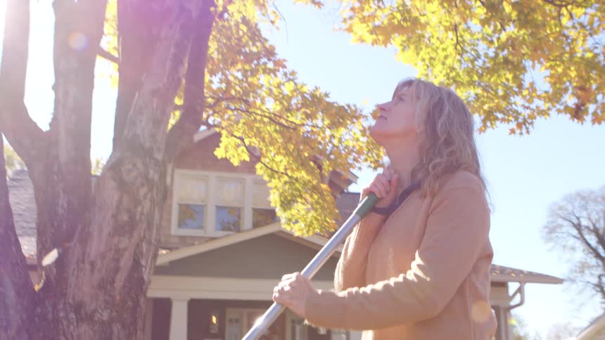 Woman in a backyard beneath a tree looking up