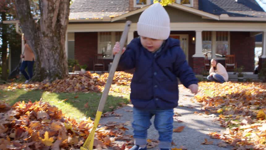 Toddler tries to help his family rake fallen leaves on an autumn day