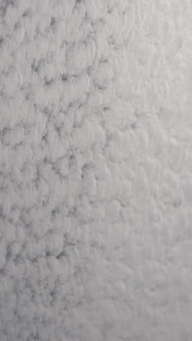 Abstract white wool fabric
