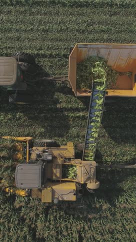 A harvester loads crops into a bin