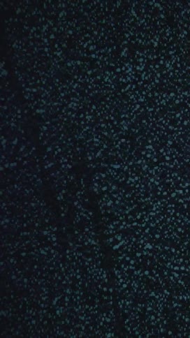 Screen displaying abstract spiky dots