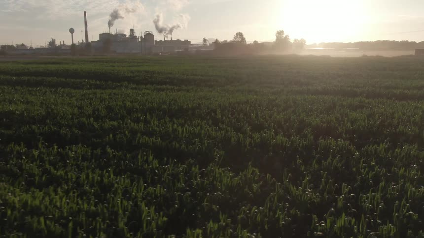 A factory is by the farm