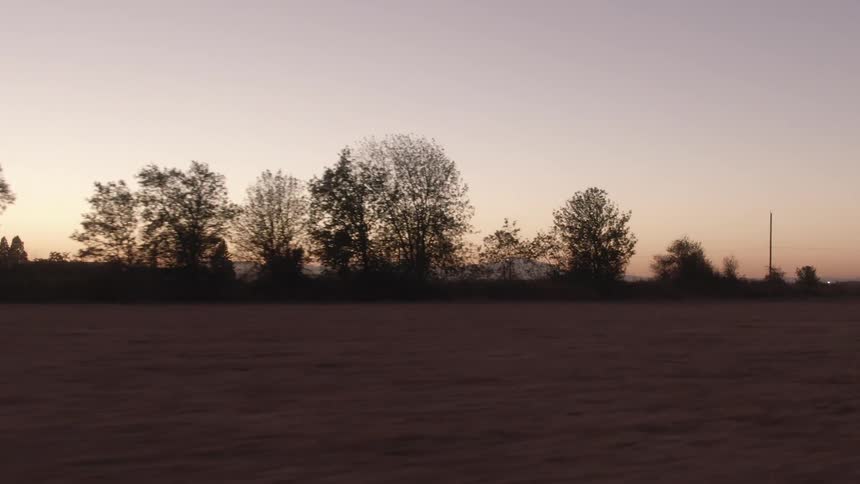 A field at sunset