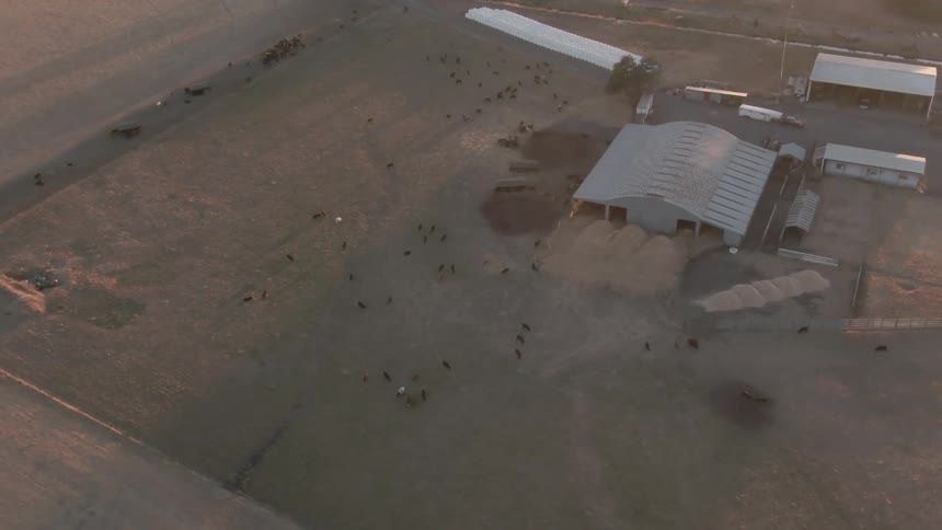 A high aerial shot looks down on a sprawling ranch at sunrise or sunset showing a large barn and cattle grazing in the fields