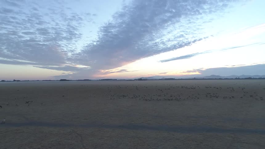 The sun sets over a field containing farm animals