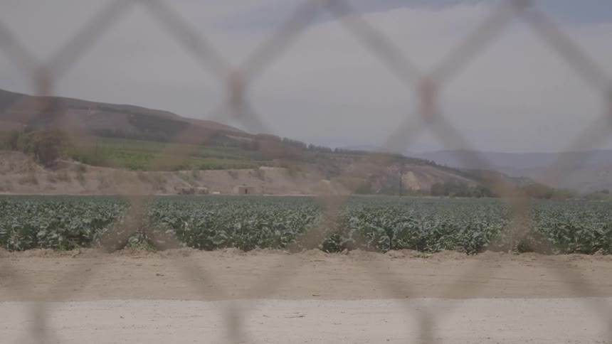 A field as seen through a wire fence