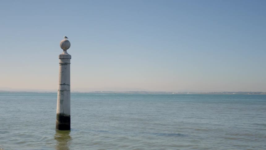 A bird sits on a pillar that is jutting out of water