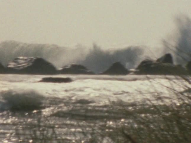 Sea wave breaking in the ocean