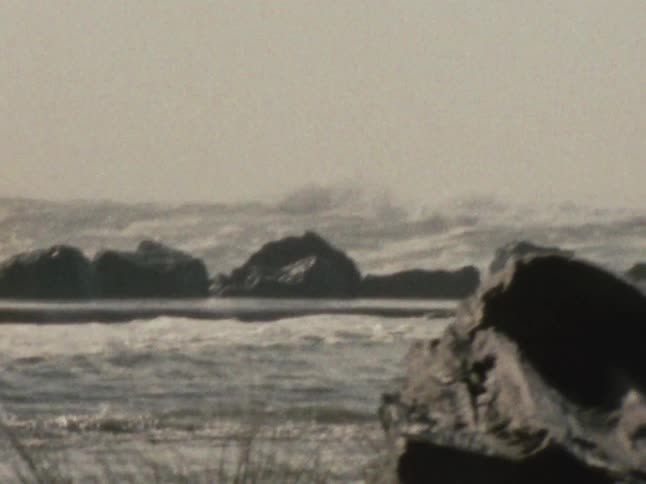 A vintagestyle shot captures a rugged beach scene with crashing waves numerous dark rock formations in the water and tall grass in the foreground under a cloudy sky