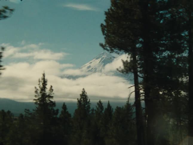 A snowcapped mountain towers above a dense pine forest under a clear blue sky