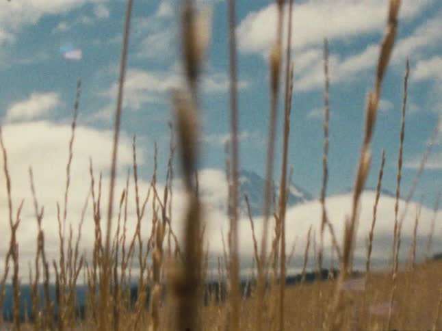 Blurry tall grass frames a distant mountain beneath a bright blue sky