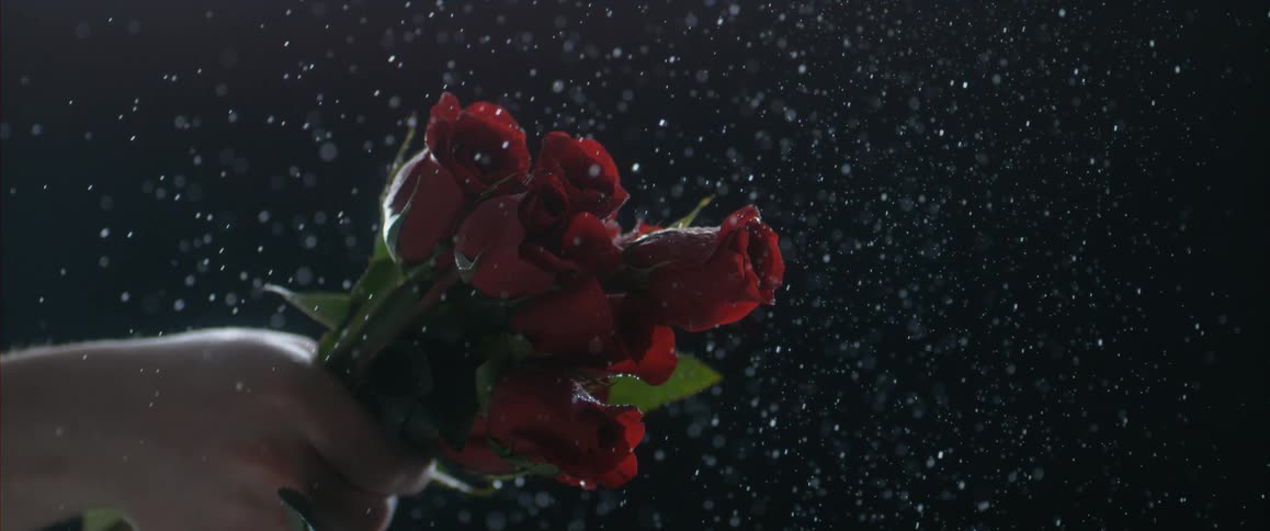 Water falling on roses