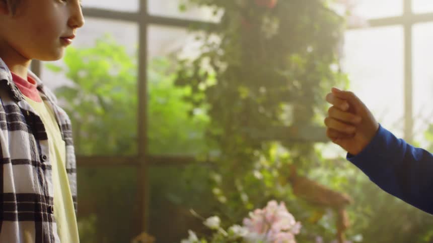 Boy making a handshake while standing inside a greenhouse