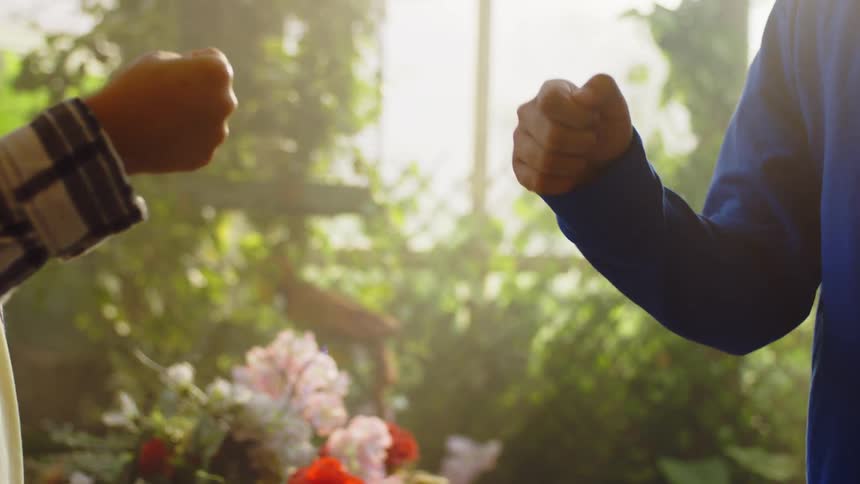 Two youths move through a complicated handshake while standing in a conservatory on a sunny day