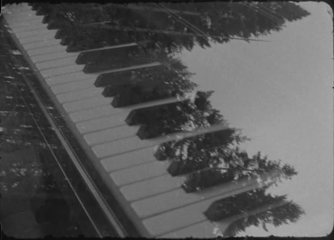 A tree is superimposed over a piano