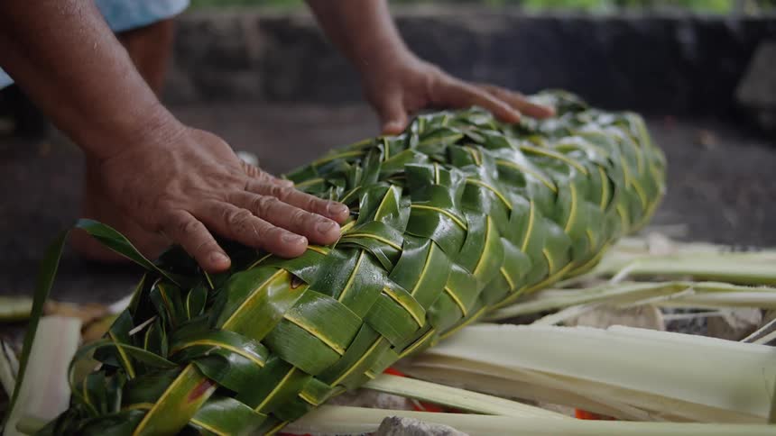 Pair of hands handling a craft with green leaves